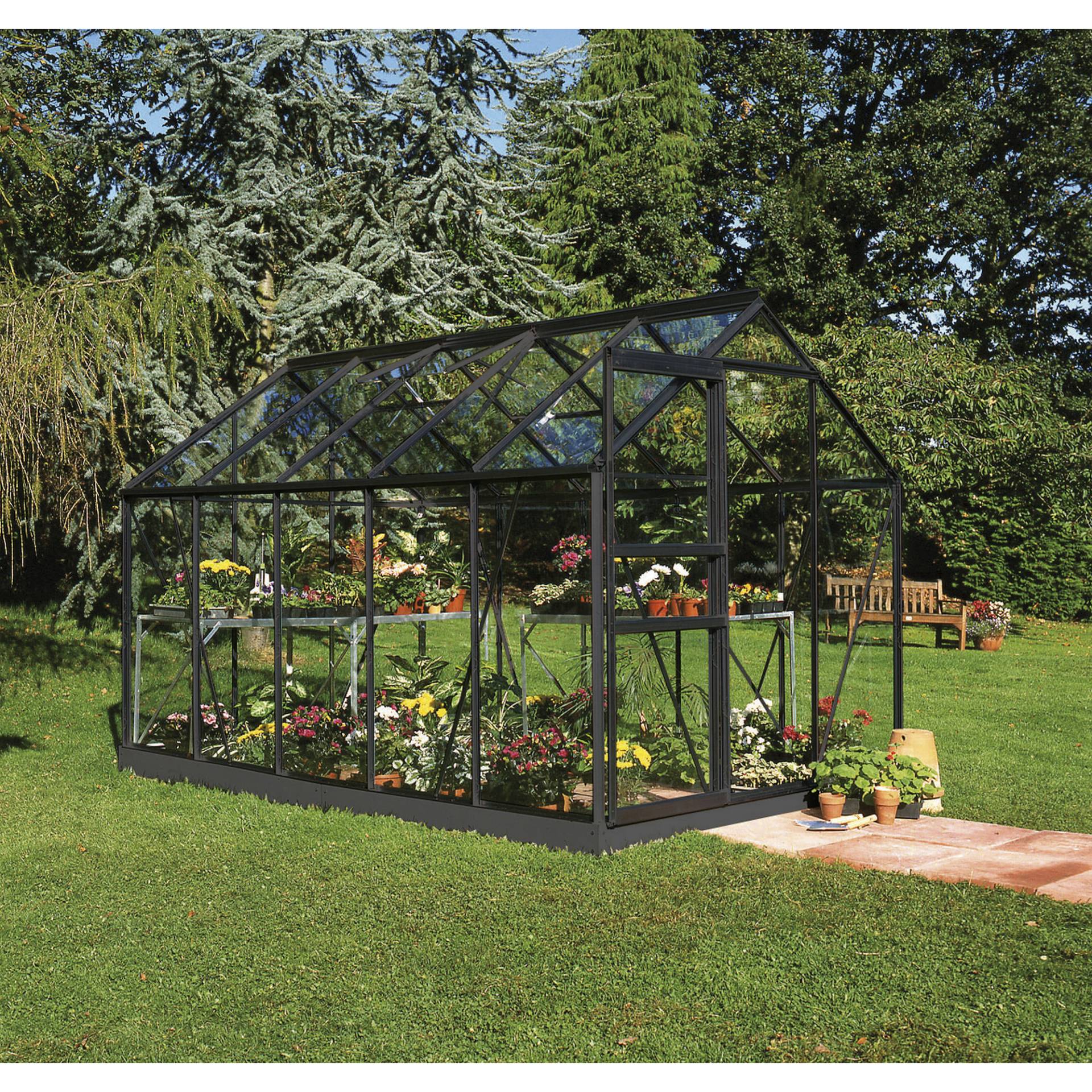 Halls Gewächshaus 'Popular 106' 193 x 319 cm mit 3 mm Sicherheitsglas schwarz Halls Gewächshaus 'Popular 106' 193 x 319 cm mit 3 mm Sicherheitsglas schwarz von Halls
