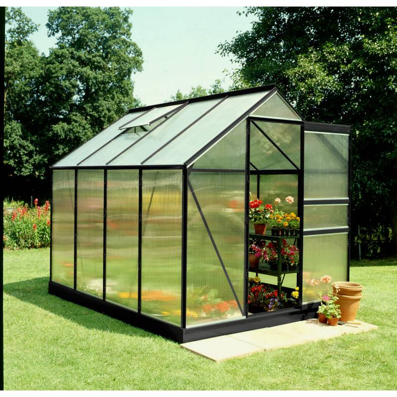 Halls Gewächshaus 'Popular 86' 193 x 257 cm mit 4 mm Doppelstegplatten schwarz von Halls