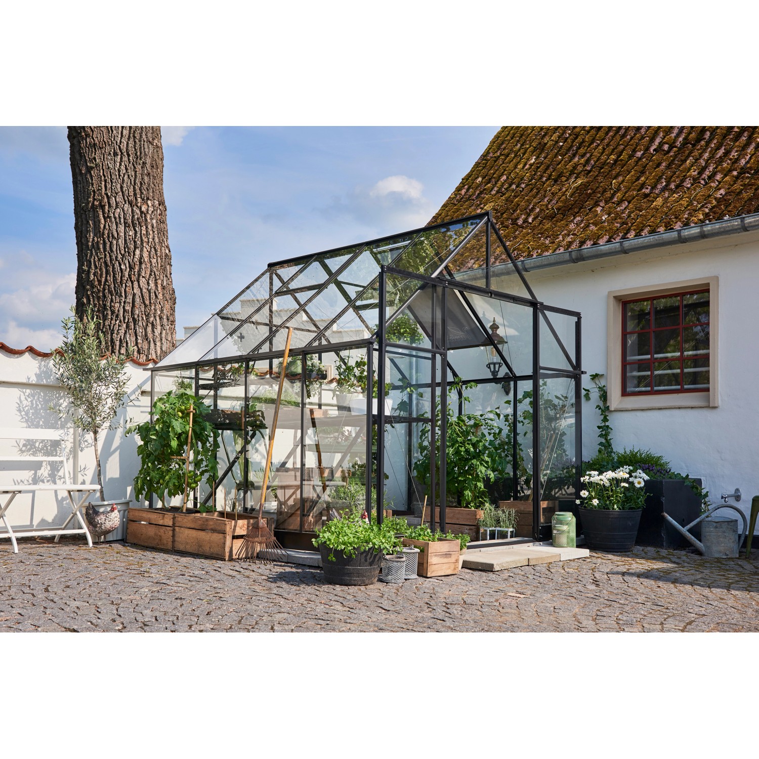 Halls Gewächshaus Qube+ 88 mit 3 mm Sicherheitsglas 6,6 m² Schwarz von Halls