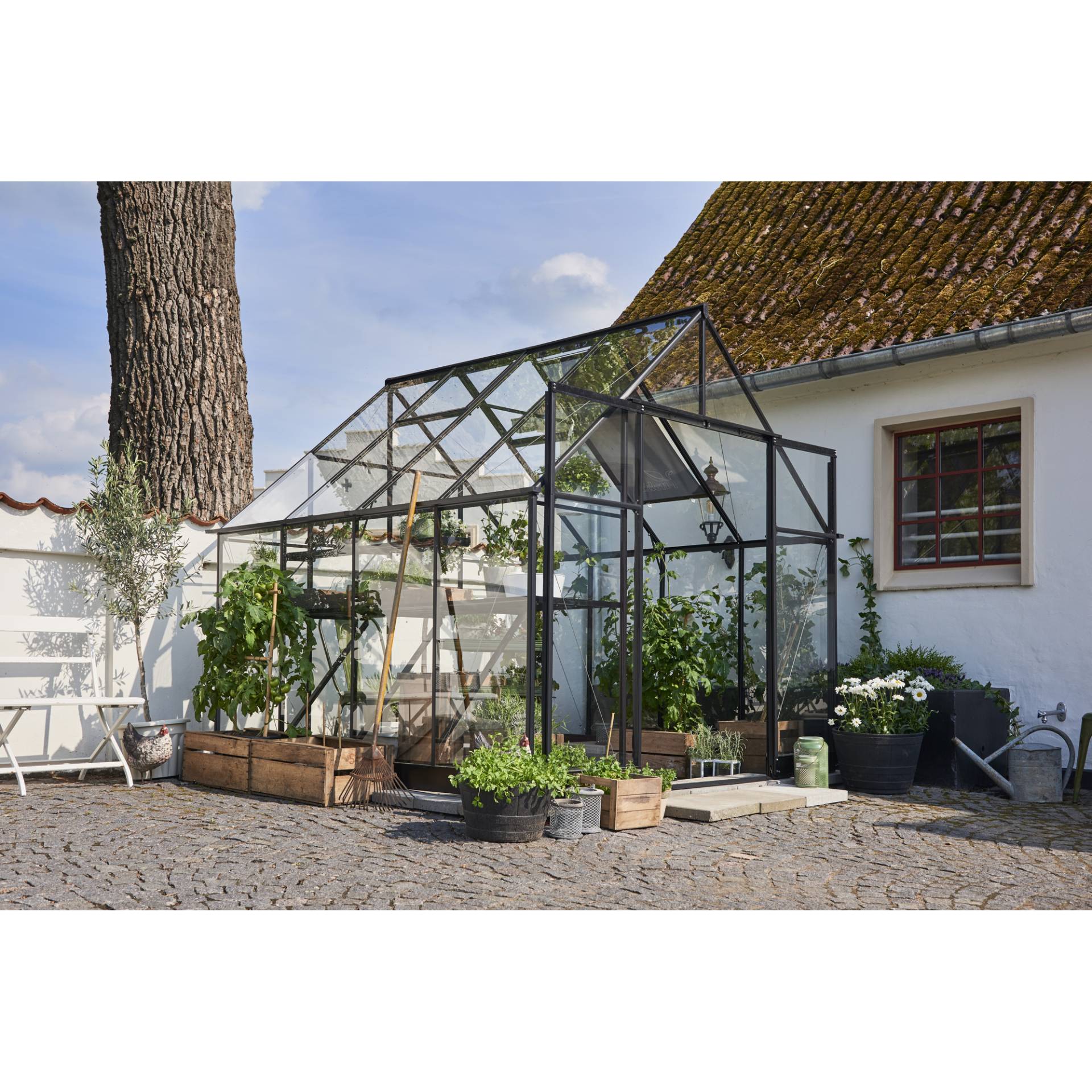 Halls Gewächshaus 'Qube+ 88' 6,6 m² 251 x 251 cm 3 mm Sicherheitsglas schwarz von Halls