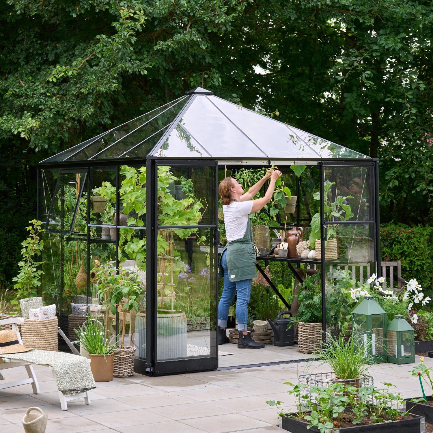 Halls Gewächshaus Qube Square 6,3 m² 3 mm Sicherheitsglas Schwarz Halls Gewächshaus Qube Square 6,3 m² 3 mm Sicherheitsglas Schwarz von Halls