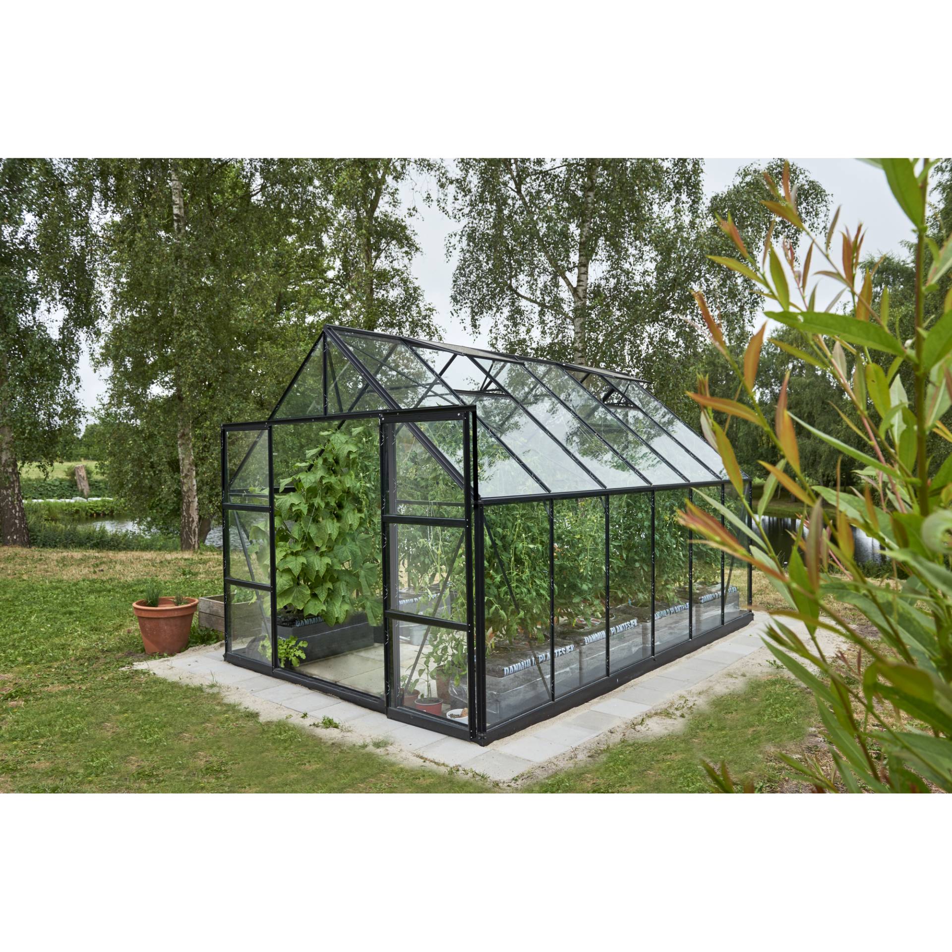 Halls Gewächshaus 'Universal 128' 384 x 257 cm mit 3 mm Sicherheitsglas schwarz Halls Gewächshaus 'Universal 128' 384 x 257 cm mit 3 mm Sicherheitsglas schwarz von Halls