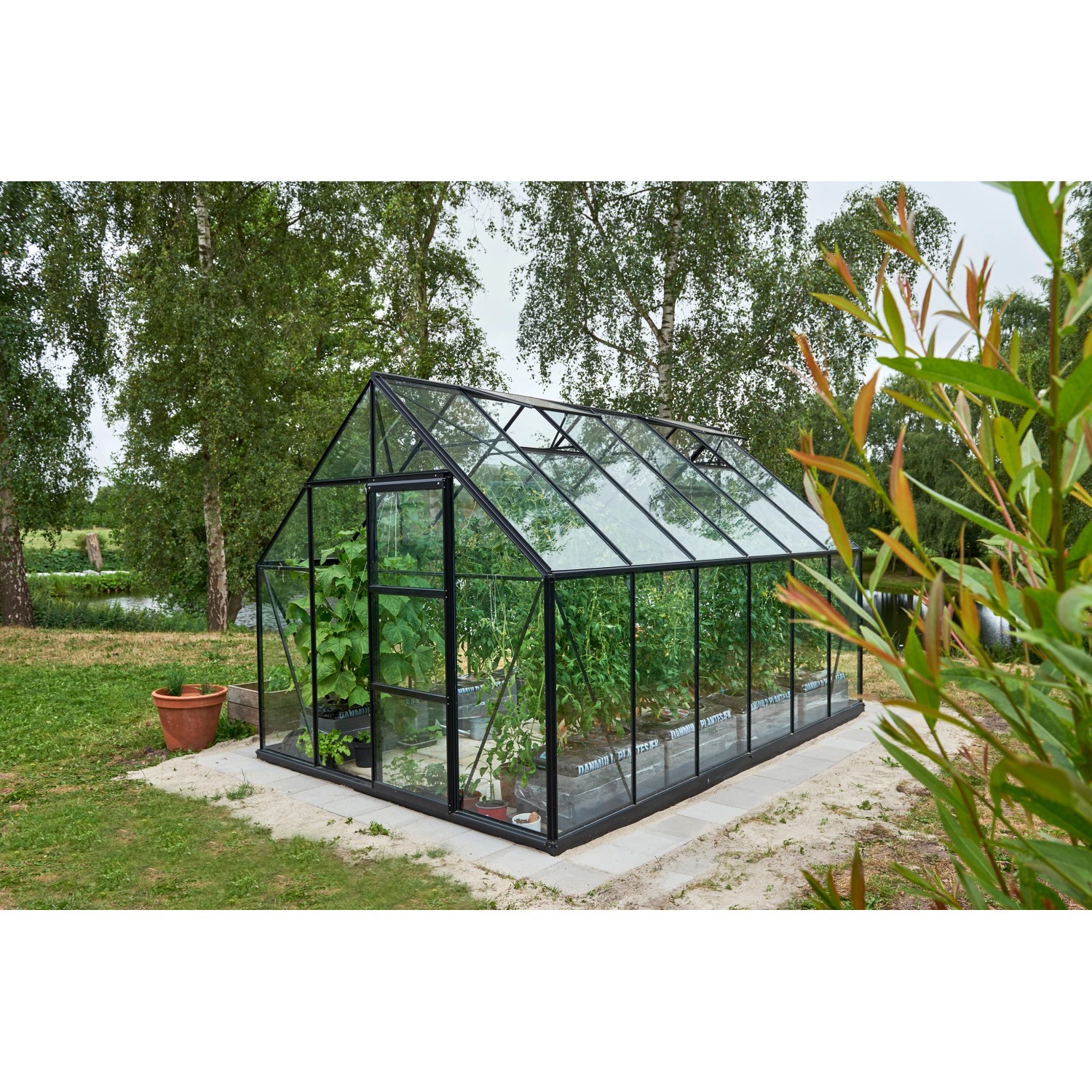 Halls Gewächshaus Universal 128 mit 3 mm Sicherheitsglas Schwarz 9,9 m² von Halls