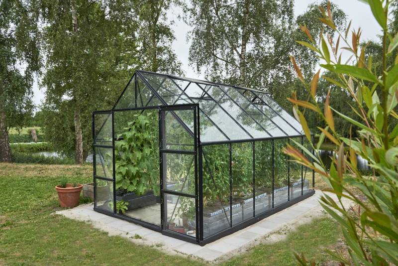 Halls Gewächshaus Universal - 9,9 m² - 3,84 x 2,57 m - 9,9 m² (Gr. 2), Doppeltür, 3 mm Sicherheitsglas, Schwarz von Halls