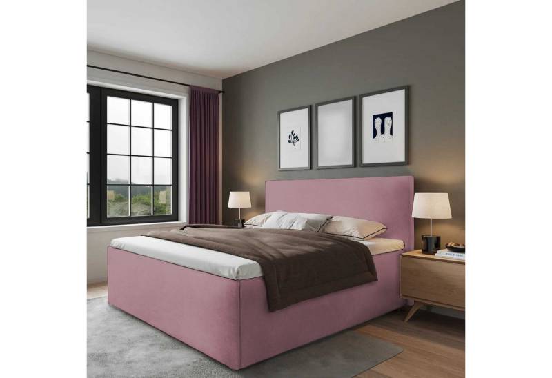 Halmon Schlafkomfort Betten Polsterbett Gent (Mit Bettkasten, erhältlich in 6 Größen und 8 attraktiven Farben mit oder ohne Matratze), Seitenhöhe 32 cm, inkl. Lattenrost bei Ausführung mit Matratze von Halmon Schlafkomfort Betten