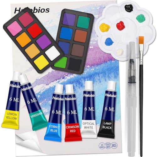 Halobios 22-teiliges tragbares Farbenset mit 12 Aquarellfarben, 6 Acrylfarben (je 6 ml) und einem 10-seitigen 5A-Mini-Skizzenbuch, Kunstbedarf für Erwachsene von Halobios