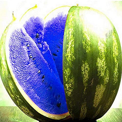 Haloppe 100 Stück Wassermelonen-Fruchtsamen für die Bepflanzung des Hausgartens, mehrfarbige Wassermelonensamen, Hausgarten, Farm, süße Fruchtpflanze Blau von Haloppe
