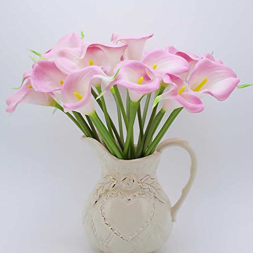 Haloppe 100 Stück Zantedeschia Aethiopica Blumen Pflanzensamen für die Bepflanzung des Hausgartens, bunte Gartendekoration Blumensamen für den Hof Rosa von Haloppe