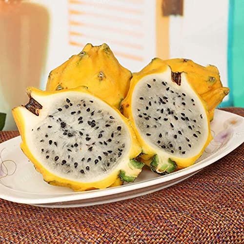 Haloppe 20Pcs Pitaya Fruit Seeds for Home Garden Planting, Sweet Pitaya Seeds Hylocereus Undatus Fruit Garden Yard Farm Plant Gelb von Haloppe