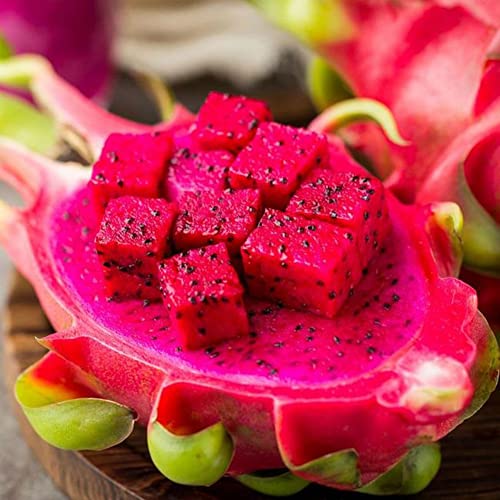 Haloppe 20Pcs Pitaya Fruit Seeds for Home Garden Planting, Sweet Pitaya Seeds Hylocereus Undatus Fruit Garden Yard Farm Plant Rot von Haloppe