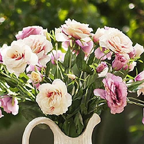 Haloppe 50 Stück Blumen Pflanzen Samen für die Hausgartenbepflanzung, Gartenbalkonpflanze Eustoma Blume Lisianthus Samen Heimpflanzenverzierung 5 von Haloppe