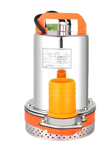 1pc 12V/24V DC Tauchpumpen 2 Zoll Solar Wasserpumpe Hohe Kopf Fluss Hause Gemüse Gartenarbeit(12V) von HamPaesk