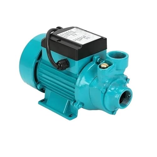 HamPaesk 1 stück DC 12 V 24 V 48 V Wasserpumpe Bürstenmotor Booster QB60 High-Lift Große Durchflussmenge Solarbatterie selbstansaugende(12V) von HamPaesk