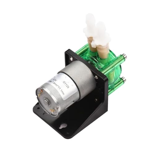 HamPaesk 1 stück DC 12 V Dosierpumpe Peristaltische Wasser Flüssigkeit Große Durchflussrate BPT Rohr Selbstansaugende 700 mL/min(12V) von HamPaesk