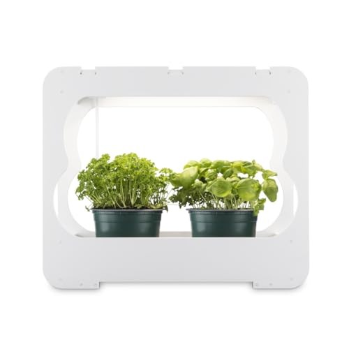 Hama LED Smart Garden Home Gewächshaus Box klein mit Lampe für Balkon, Hochbeet oder Outdoor Garten Pflanzen als Anzuchtkasten, Mini Gewächshaus mit Wachstumslampen für Pflanzen 3 Töpfe Ø 10 cm von Hama