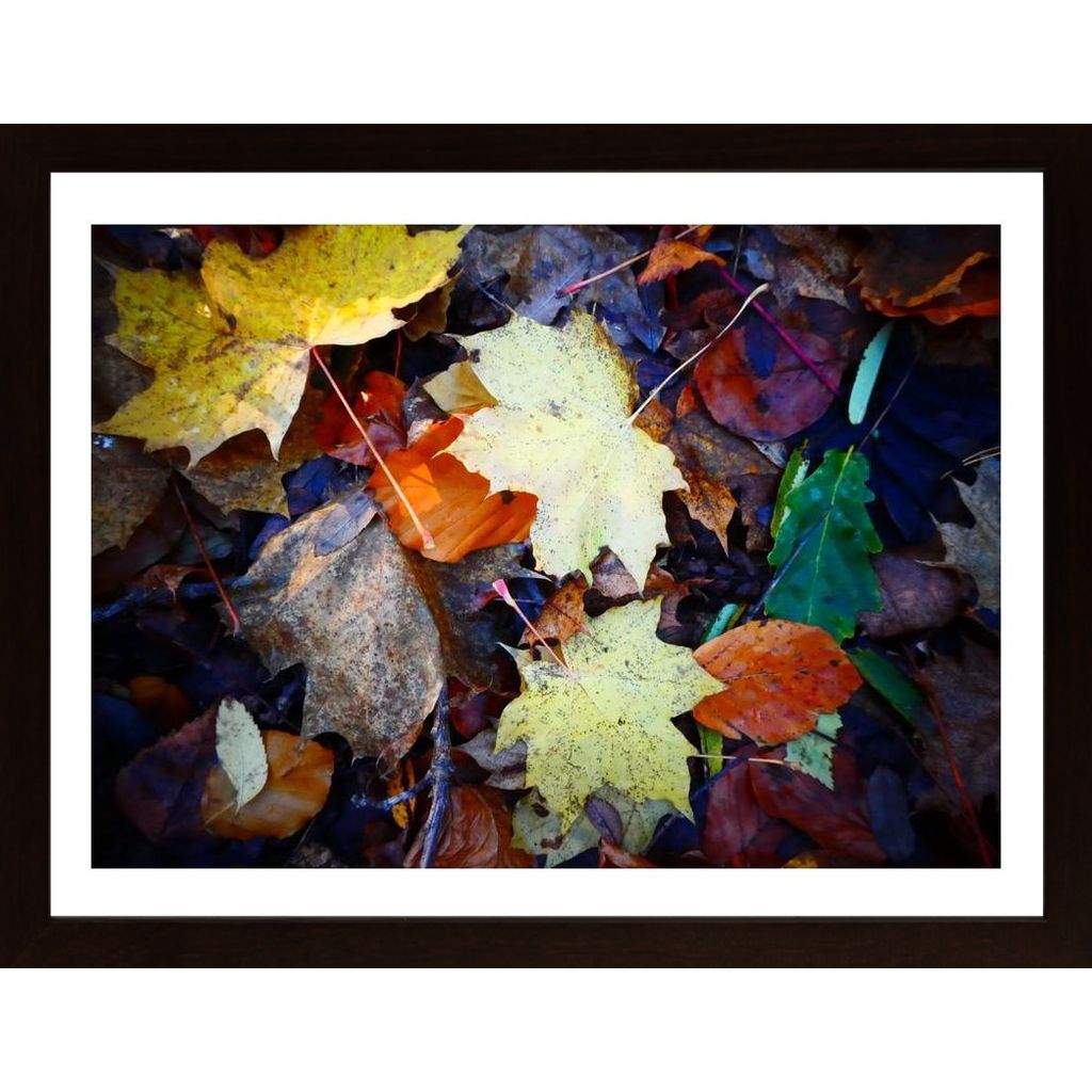 Autum Leaves Poster von Hambedo