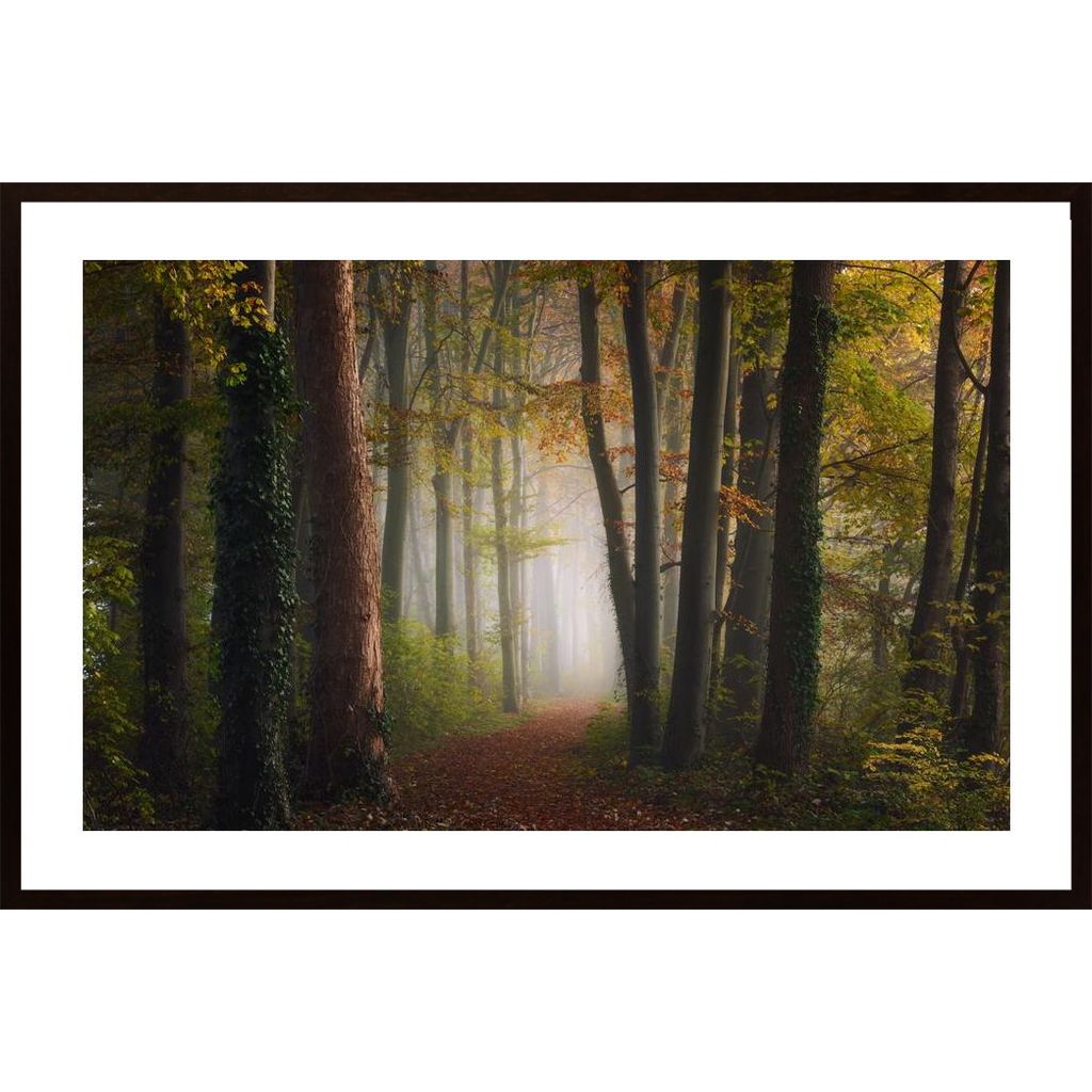 Autumn Colorful Forest Poster von Hambedo