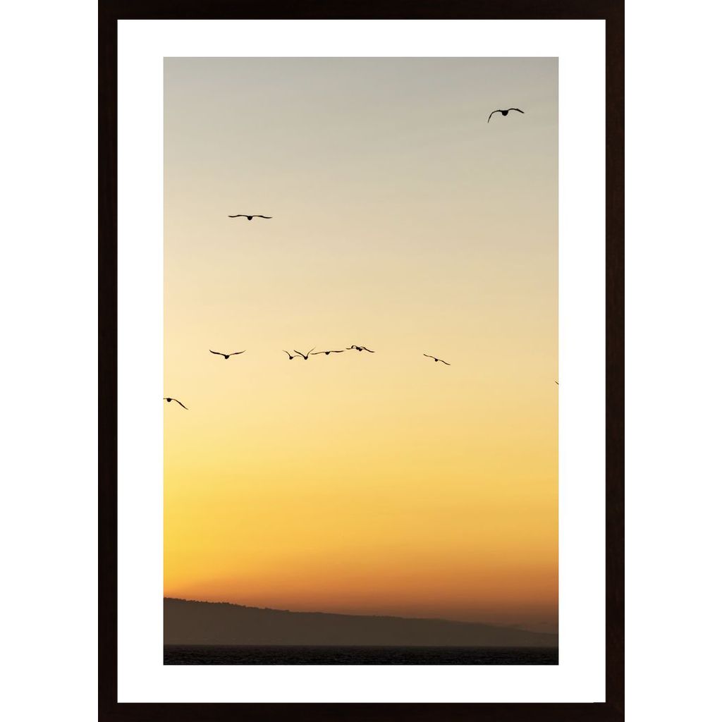 Birds In Sunset Poster von Hambedo