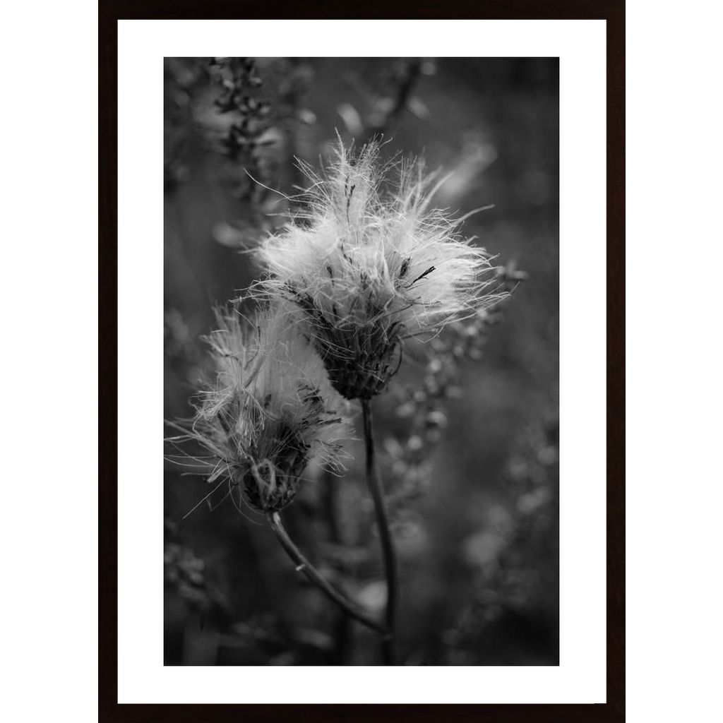 Disheveled Poster von Hambedo