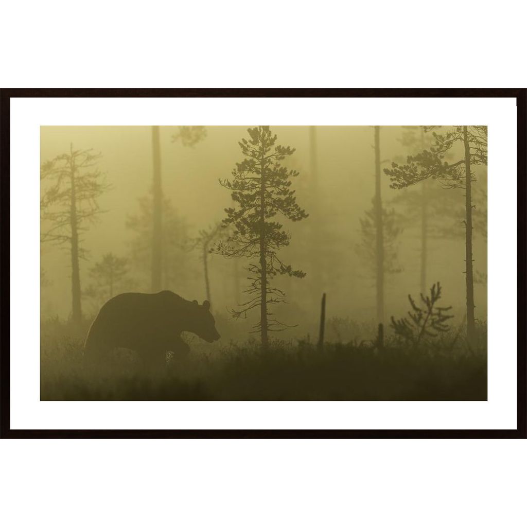 Morning Fog Poster von Hambedo