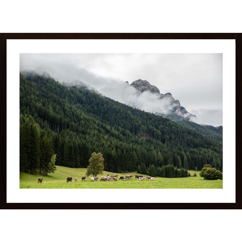 Mountain Cows Poster von Hambedo