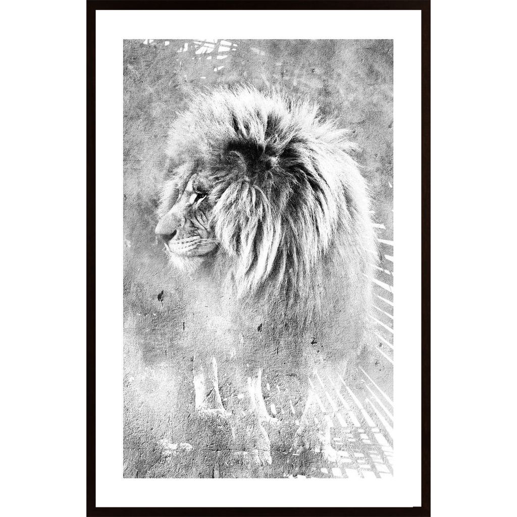 Mufasa B&W Poster von Hambedo