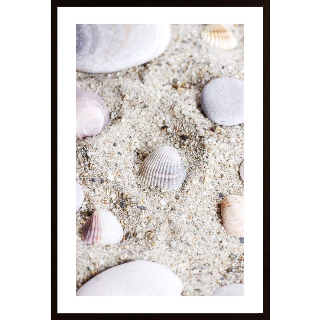 Seashell In Sand 3 Poster von Hambedo