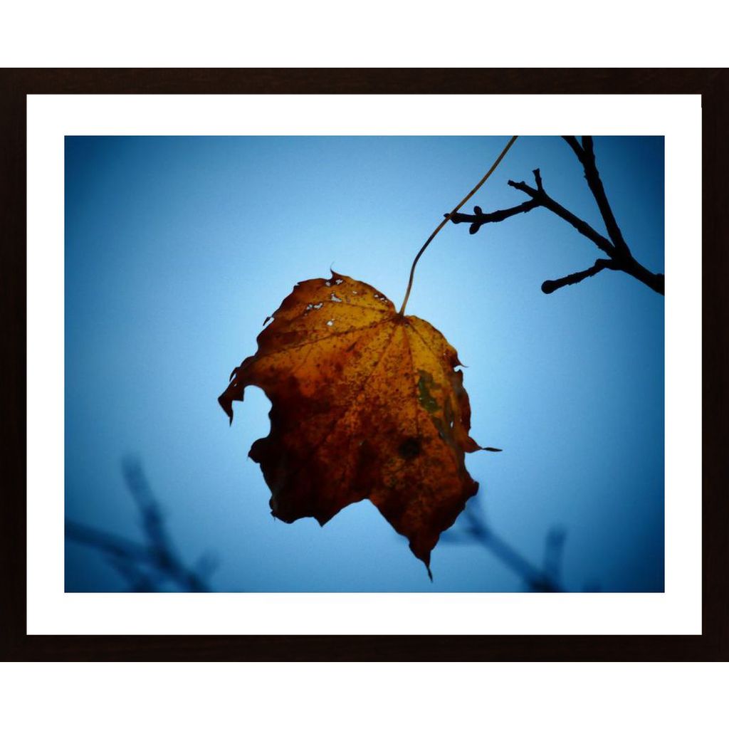 The Last Leaf Poster von Hambedo