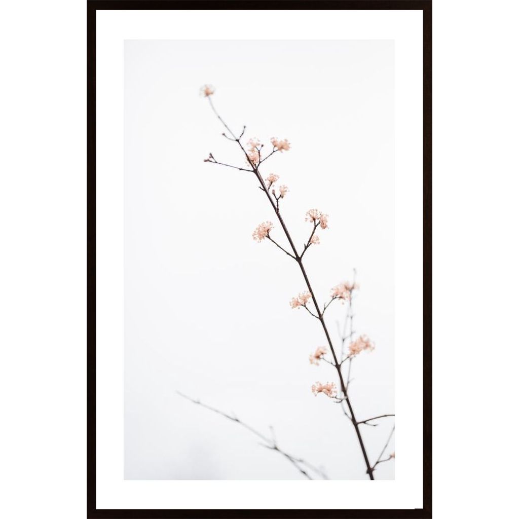 Twig With Small Flowers Poster von Hambedo
