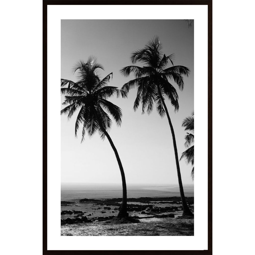 Vacations Black & White Poster von Hambedo