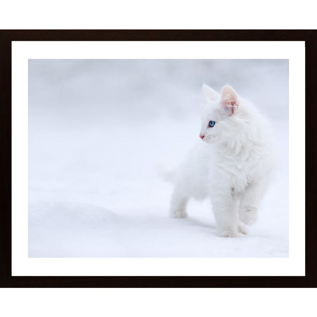 White As Snow Poster von Hambedo