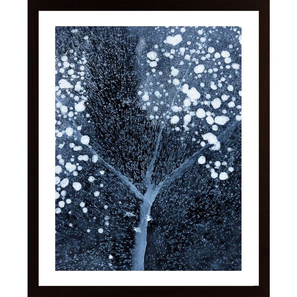 Winter Blossom Poster von Hambedo