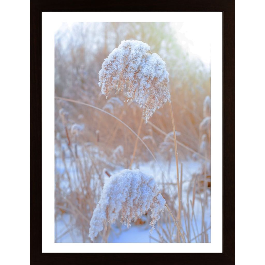 Winter Day At Sunset Poster von Hambedo