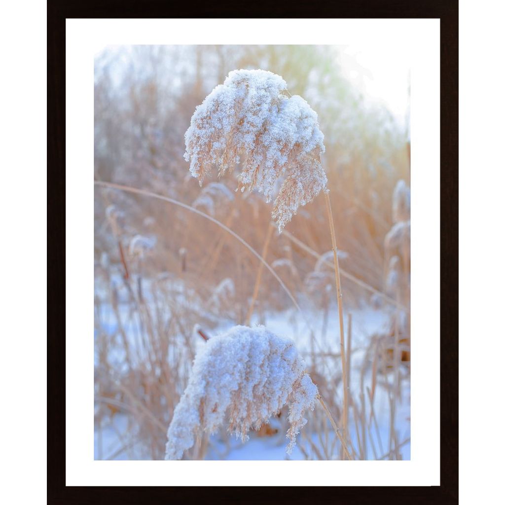 Winter Day At Sunset Poster von Hambedo