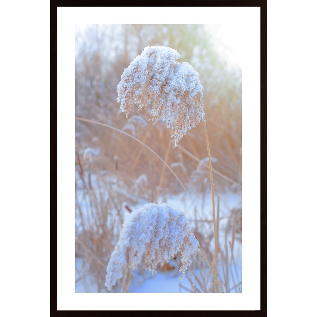 Winter Day At Sunset Poster von Hambedo