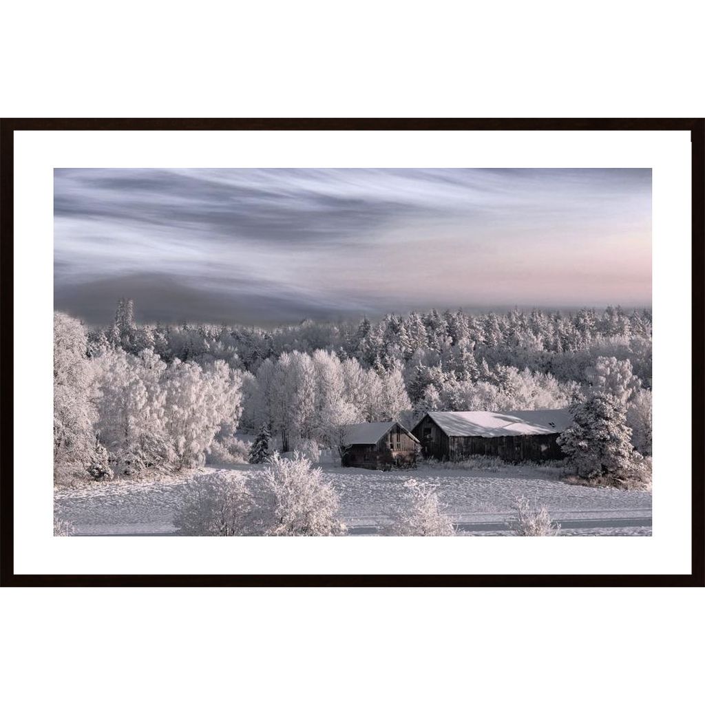 Winter Morning Poster von Hambedo