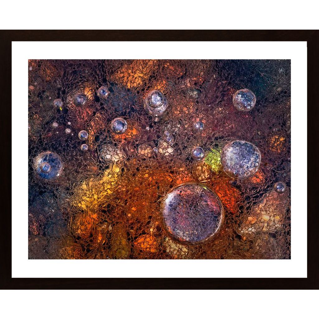 Winter Over Autumn Poster von Hambedo