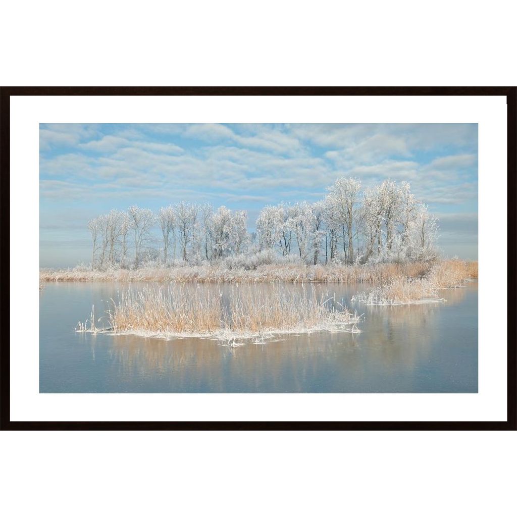 Winter Poster von Hambedo