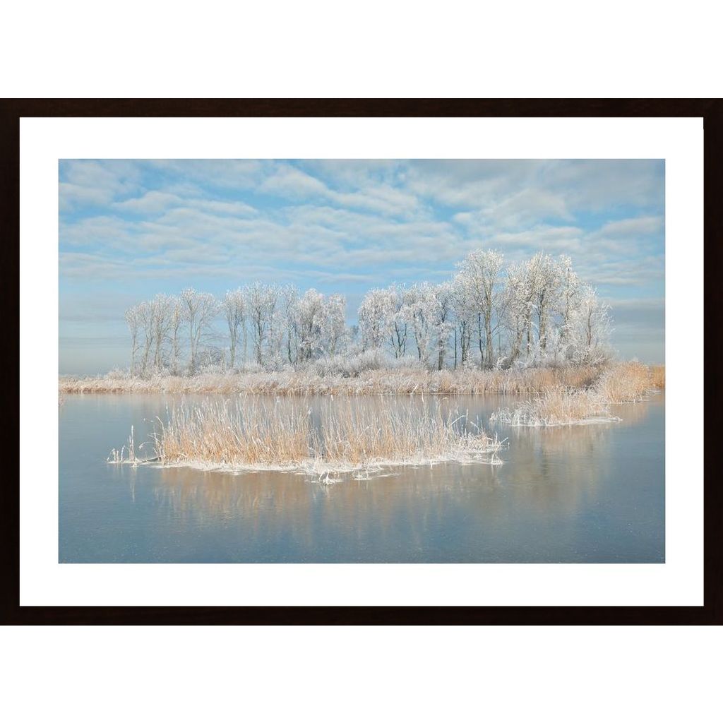 Winter Poster von Hambedo