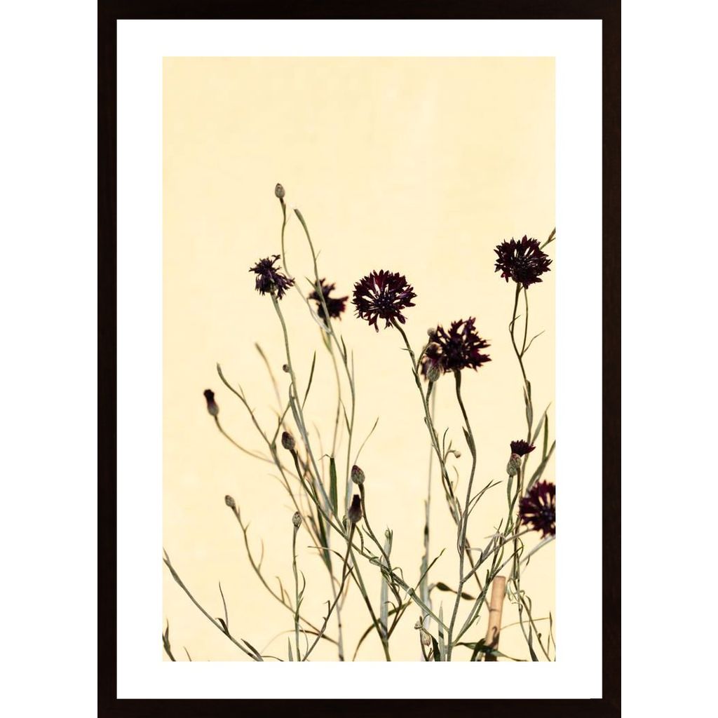 Withered Flowers Poster von Hambedo