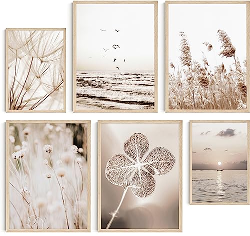 Hambient Poster Set, Wohnzimmer Deko Schlafzimmer, Zimmer - Wanddeko, Wandbilder - Bilder OHNE Bilderrahmen (Pampasgras Beige Boho, 4 x 30x40 cm, 2 x 21x30 cm) von Hambient