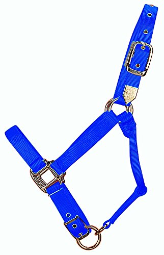 Hamilton 1-Inch Nylon Adjustable Horse Halter, Average, 800 to 1100-Pound, Blue von Hamilton