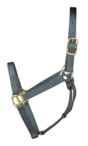 Hamilton 1-Inch Nylon Quality Halter for 800 to 1100-Pound Horse, Average, Graphite Hamilton 1-Inch Nylon Quality Halter for 800 to 1100-Pound Horse, Average, Graphite von Hamilton