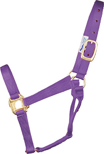 Hamilton 1-Inch Nylon Quality Halter for 800 to 1100-Pound Horse, Average, Lavender von Hamilton