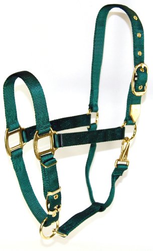 Hamilton 1 Nylon Halfter mit verstellbarem Verschluss Hamilton 1 Nylon Halfter mit verstellbarem Verschluss von Hamilton