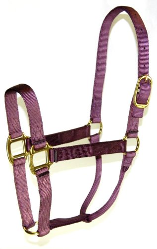 Hamilton 1 Nylon Quality Horse Halter, Average Size (800-1100 lbs), Plum von Hamilton