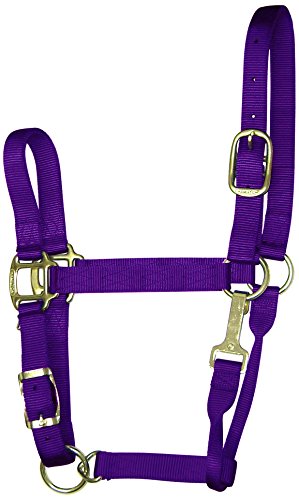 Hamilton 2,5 cm Nylon-Halfter mit Kinnschnalle, verstellbar, für Pferde von 800 bis 599 kg, Violett von Hamilton