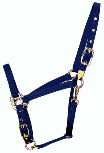 Hamilton 3/4-Inch Nylon Arabian Horse Halter with Adjustable Chin and Throat Snap, Average, 800 to 1100 pounds, Navy Blue von Hamilton