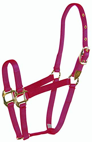 Hamilton 3/4" Nylon Arabian Horse Halter for 800 to 1100 Pound Horse, Wine von Hamilton