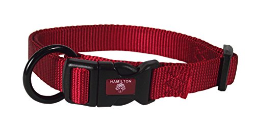 Verstellbares Hundehalsband von Hamilton, 20,3 cm von Hamilton